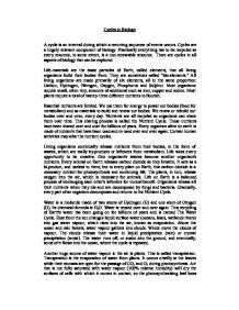 uk essay